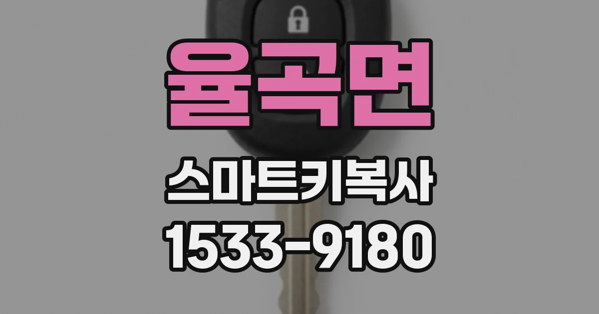 율곡면 스마트키복사
