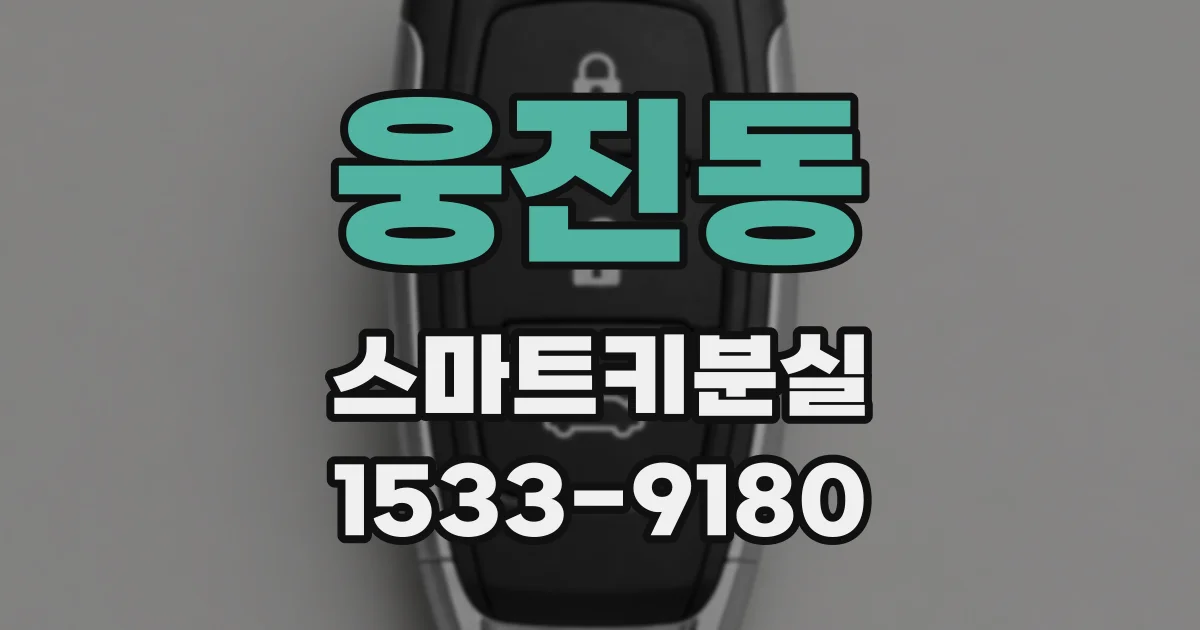 웅진동 스마트키분실