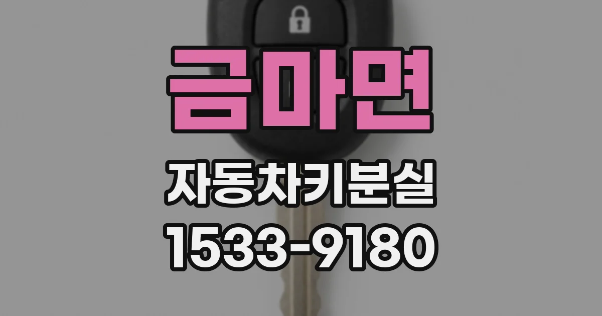 금마면 자동차키분실