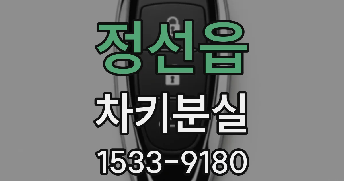 정선읍 차키분실