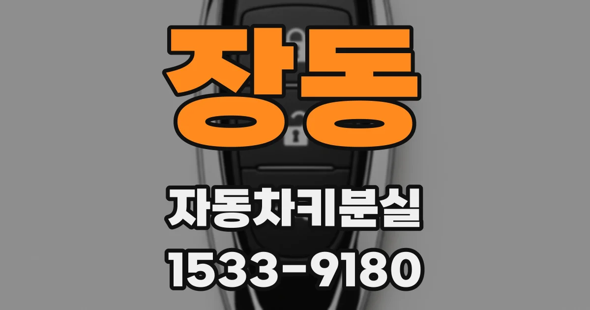 장동 자동차키분실