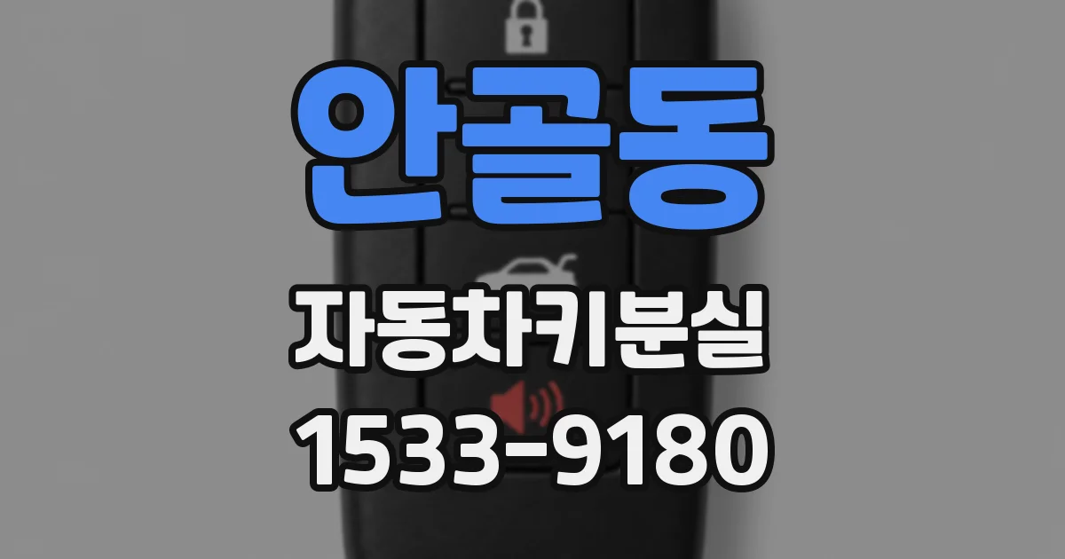 안골동 자동차키분실