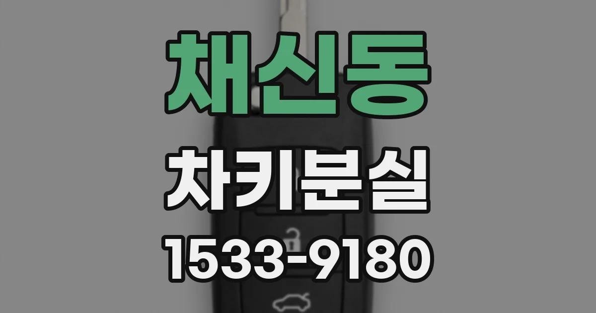 채신동 차키분실