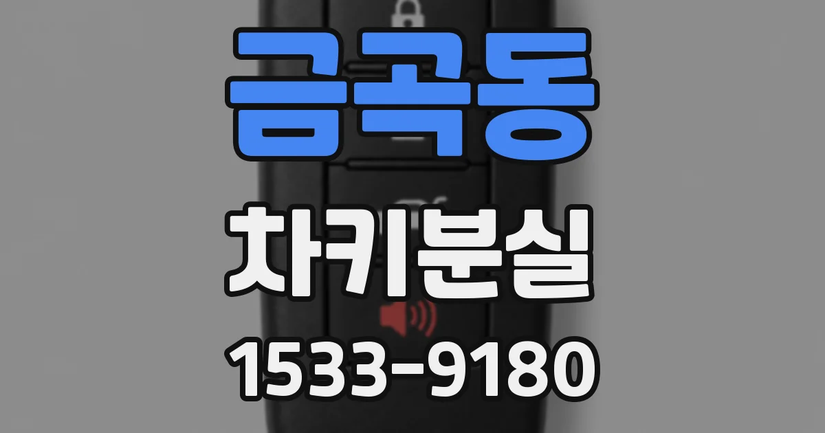 금곡동 차키분실