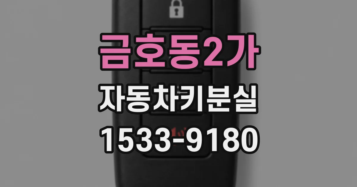 금호동2가 자동차키분실