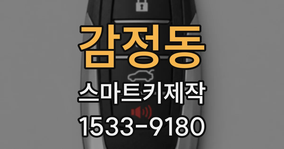 감정동 스마트키제작
