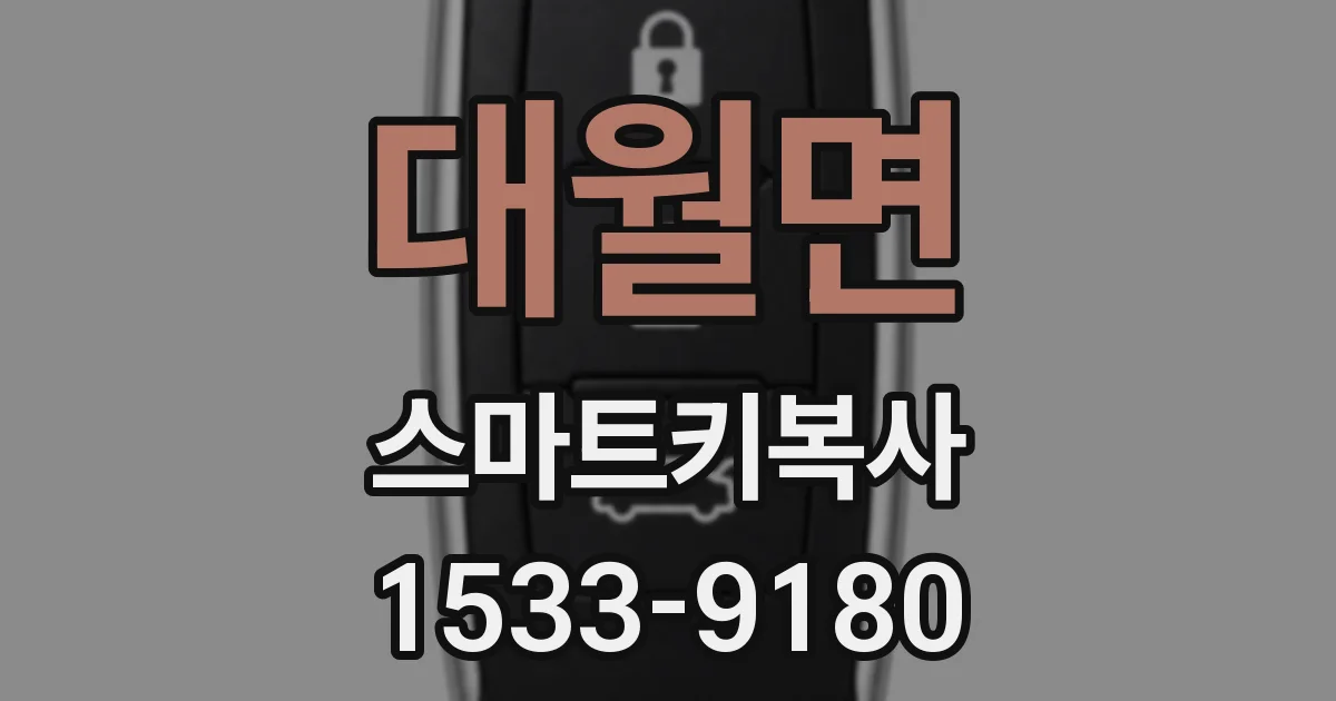 대월면 스마트키복사