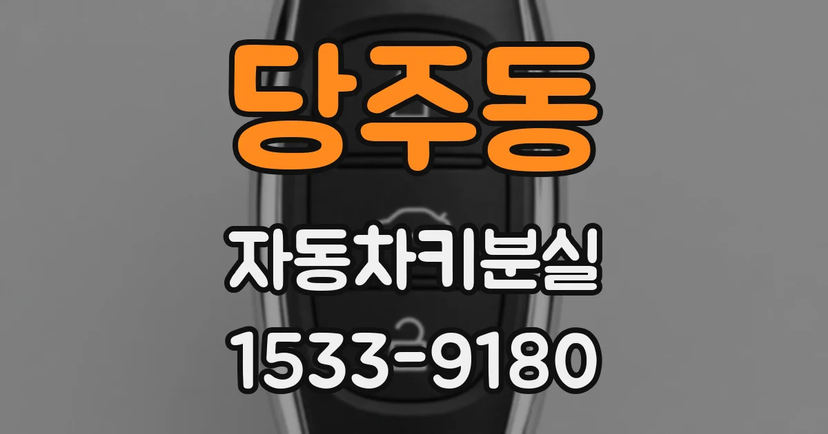 당주동 자동차키분실