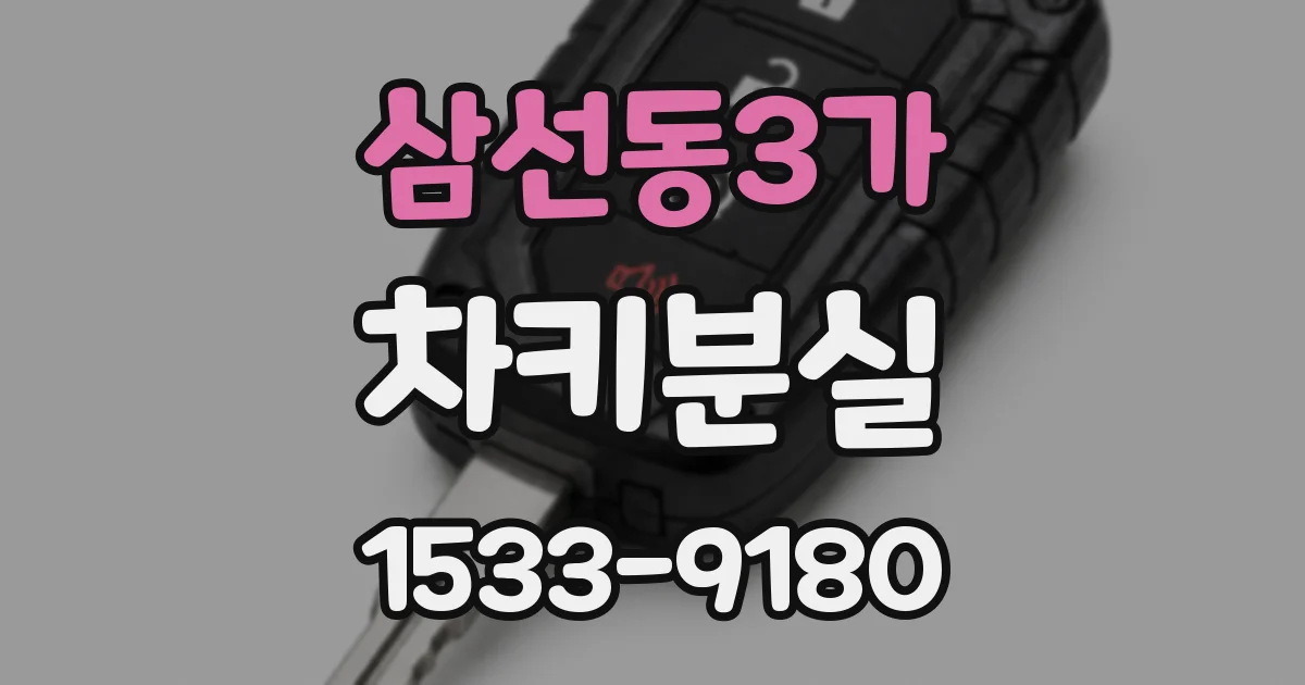 삼선동3가 차키분실