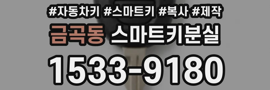 금곡동 스마트키분실