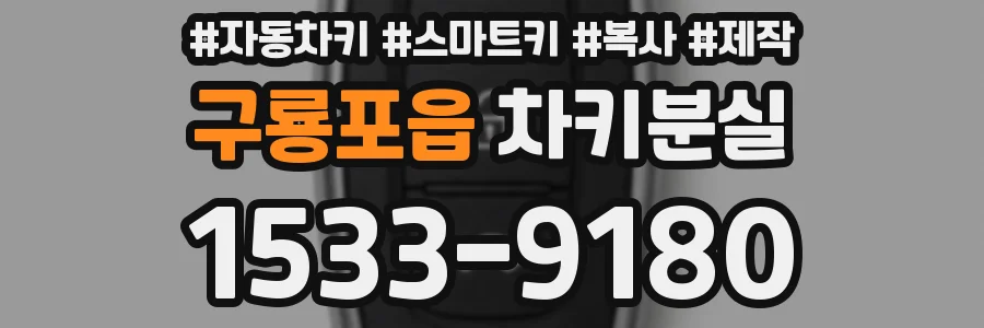 구룡포읍 차키분실