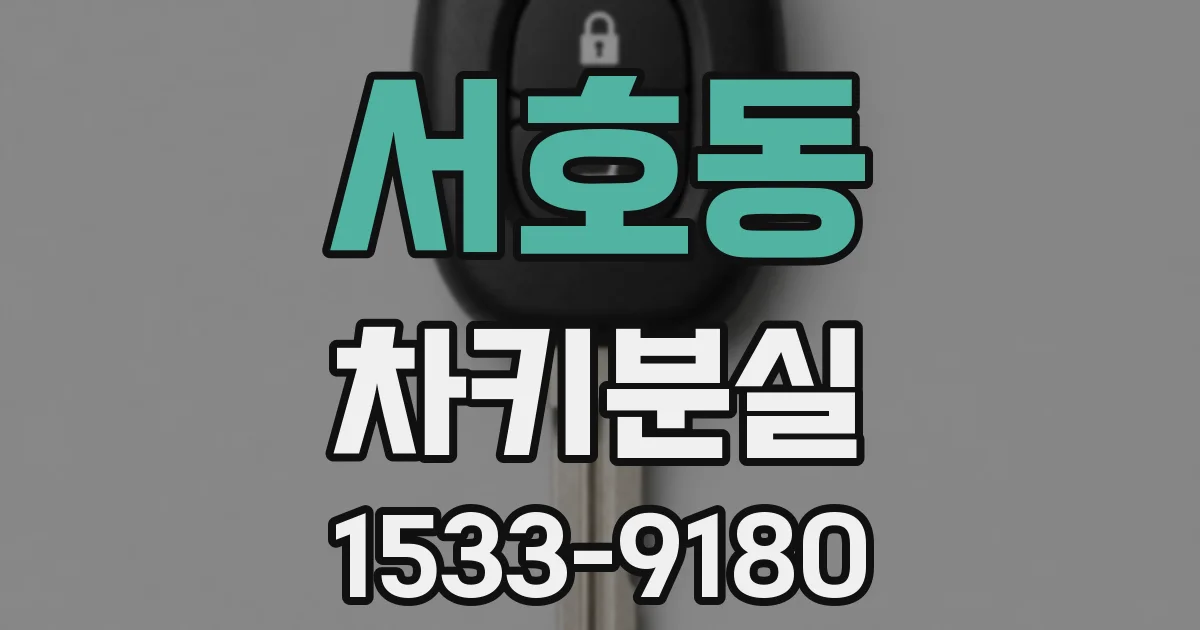 서호동 차키분실