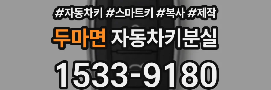 두마면 자동차키분실