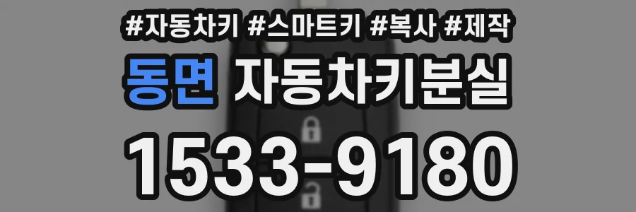 동면 자동차키분실
