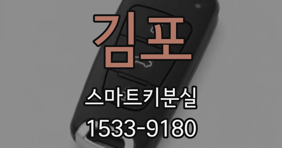 김포 스마트키분실