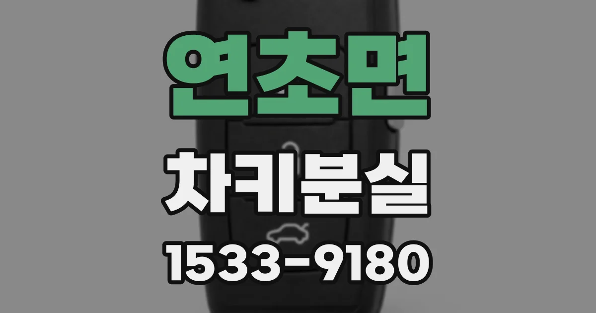 연초면 차키분실