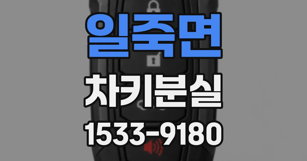 일죽면 차키분실