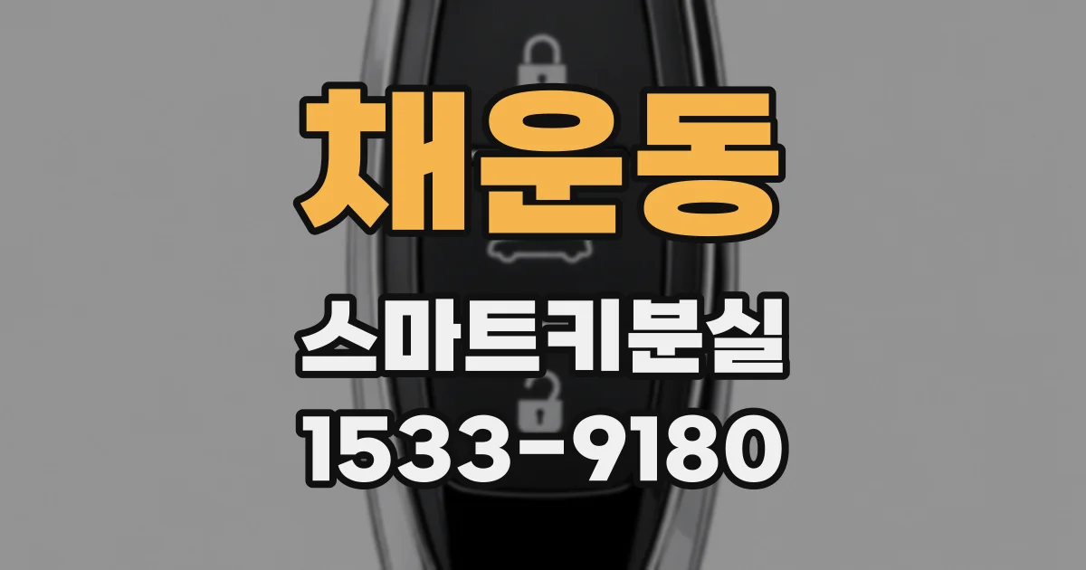 채운동 스마트키분실