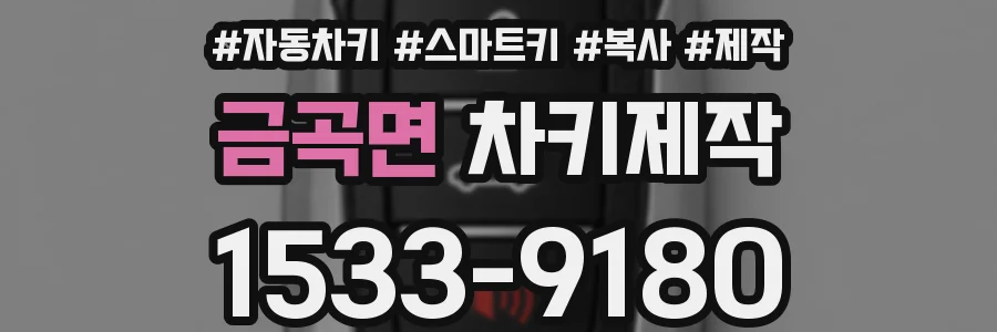 금곡면 차키제작