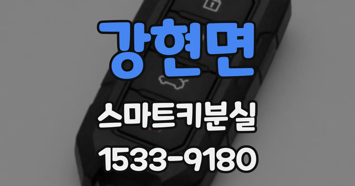 강현면 스마트키분실