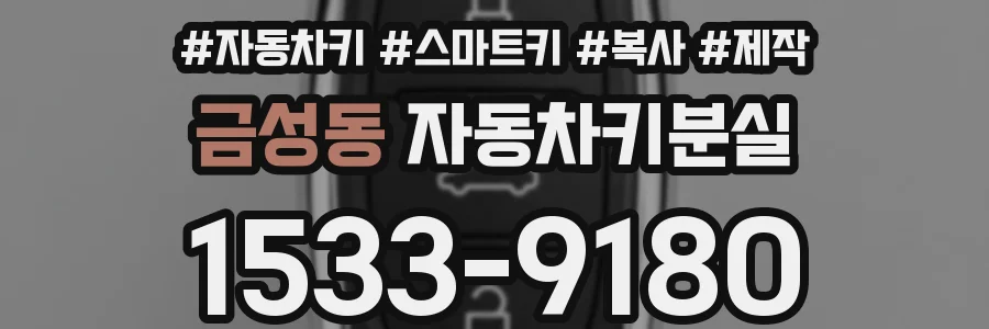 금성동 자동차키분실
