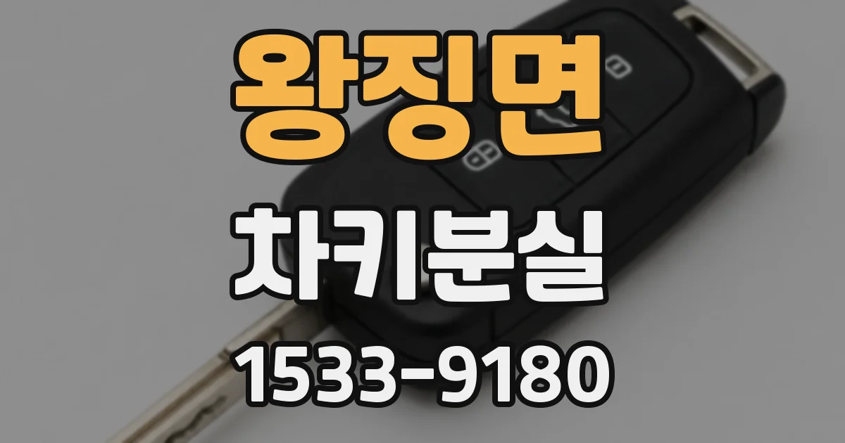 왕징면 차키분실