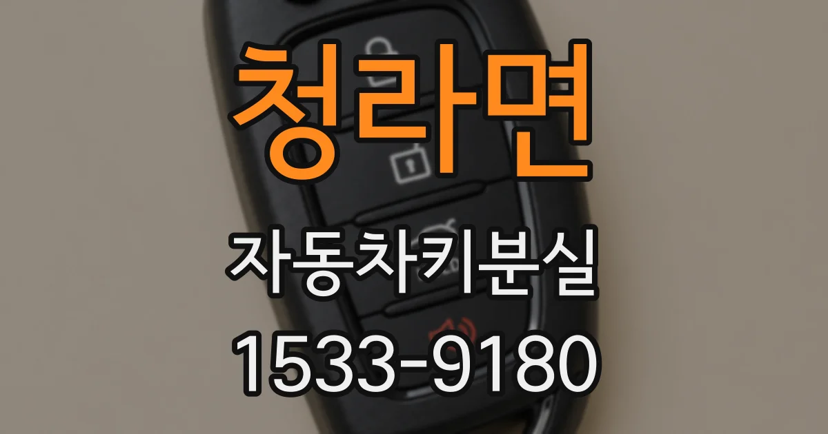 청라면 자동차키분실