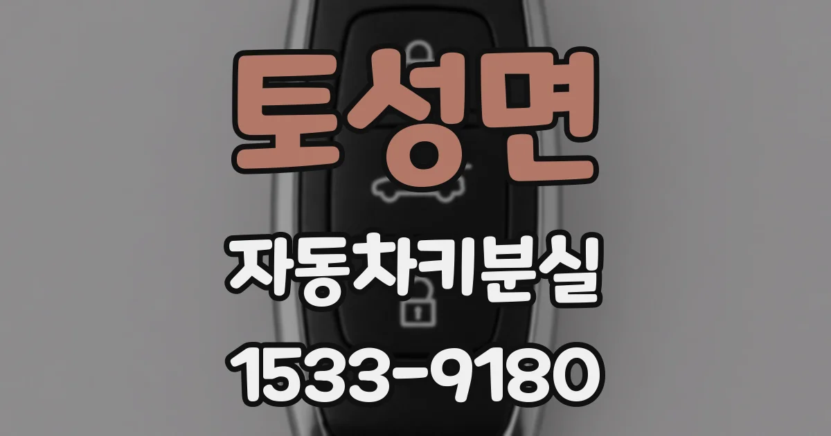 토성면 자동차키분실