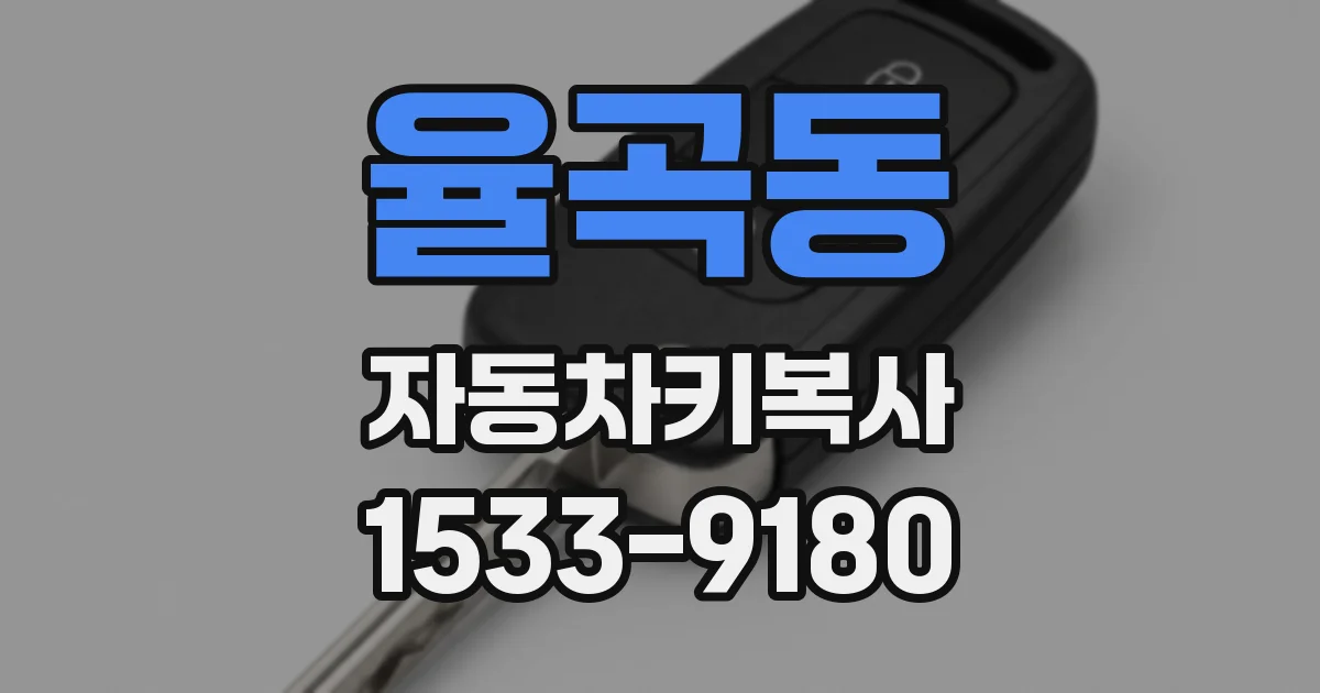 율곡동 자동차키복사