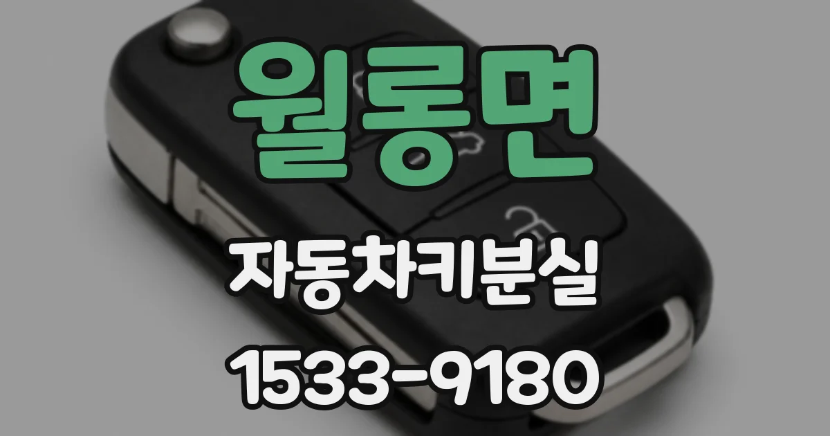 월롱면 자동차키분실