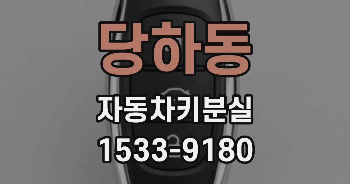 당하동 자동차키분실