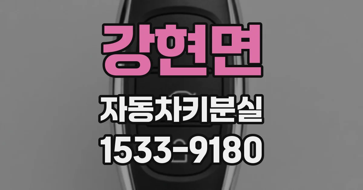 강현면 자동차키분실