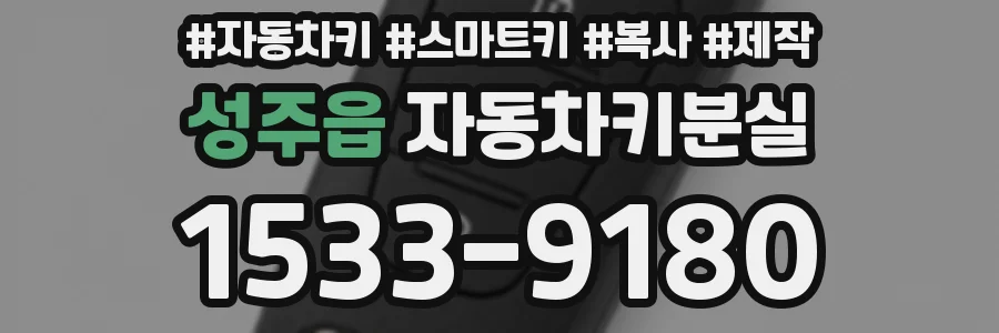 성주읍 자동차키분실