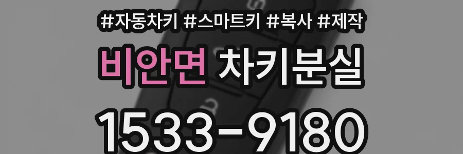 비안면 차키분실