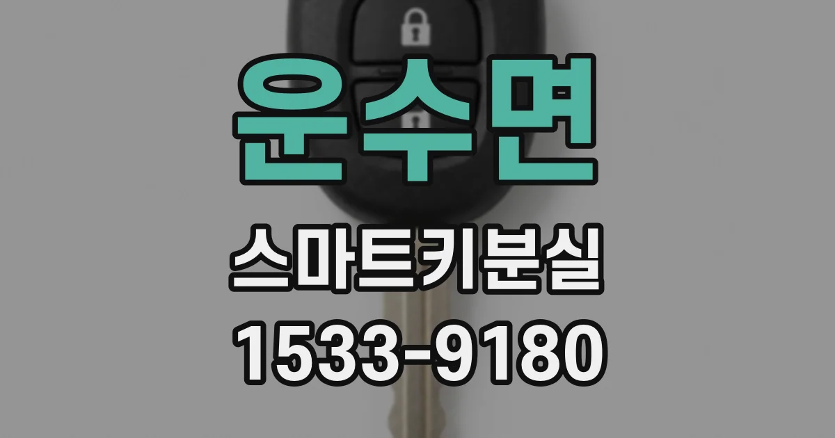 운수면 스마트키분실