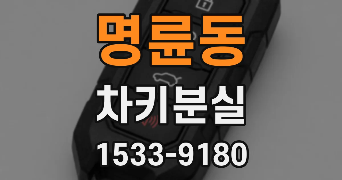 명륜동 차키분실