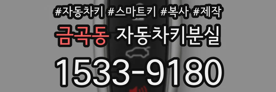 금곡동 자동차키분실