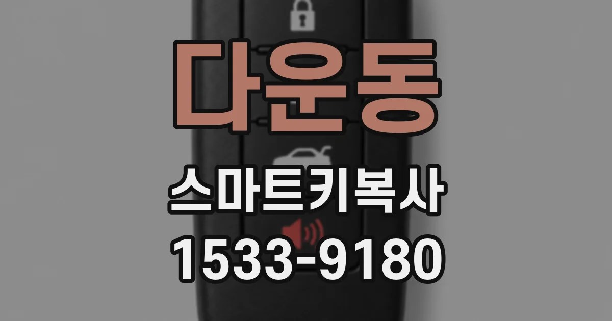 다운동 스마트키복사