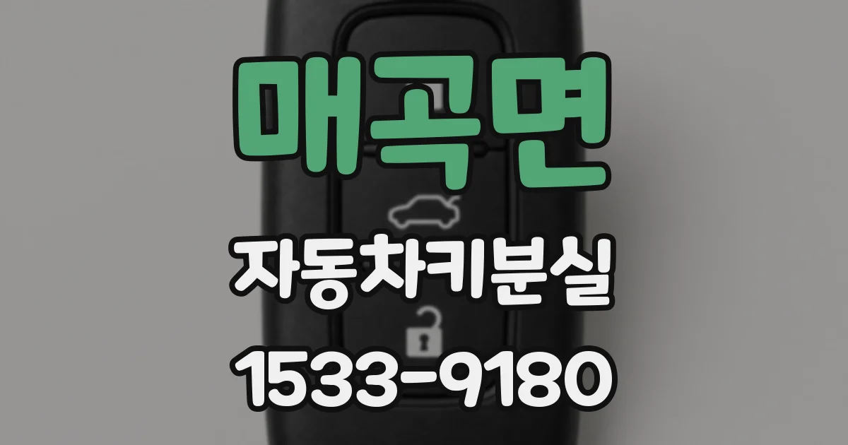 매곡면 자동차키분실