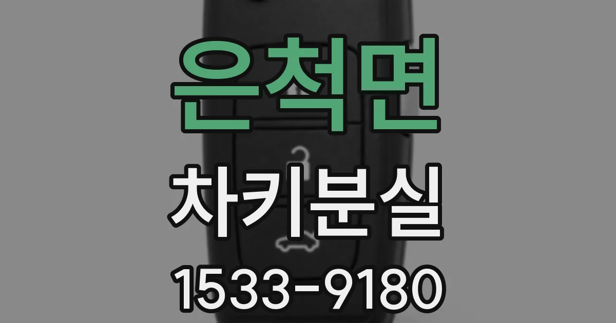 은척면 차키분실