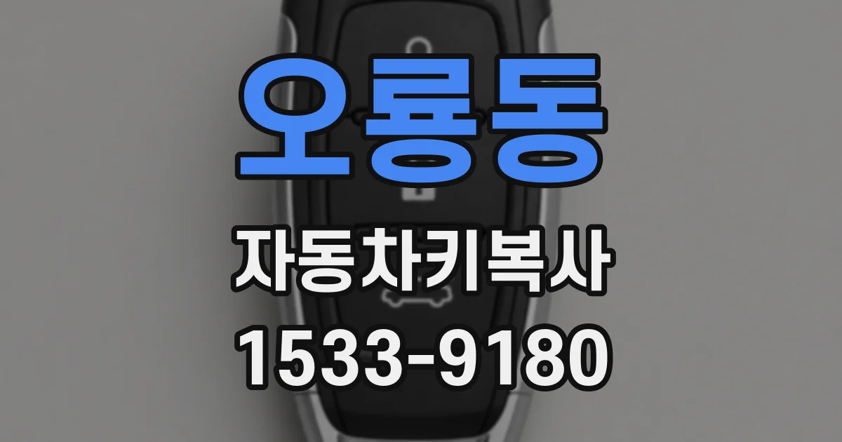오룡동 자동차키복사