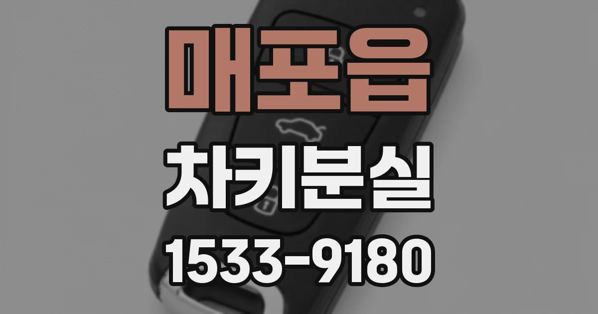 매포읍 차키분실