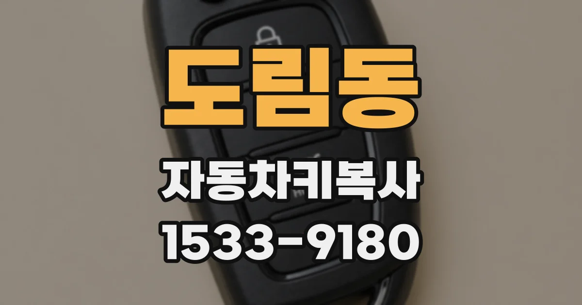 도림동 자동차키복사