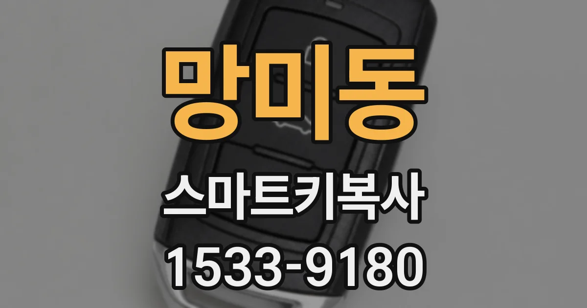망미동 스마트키복사