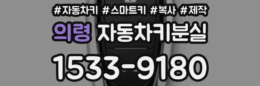 의령 자동차키분실