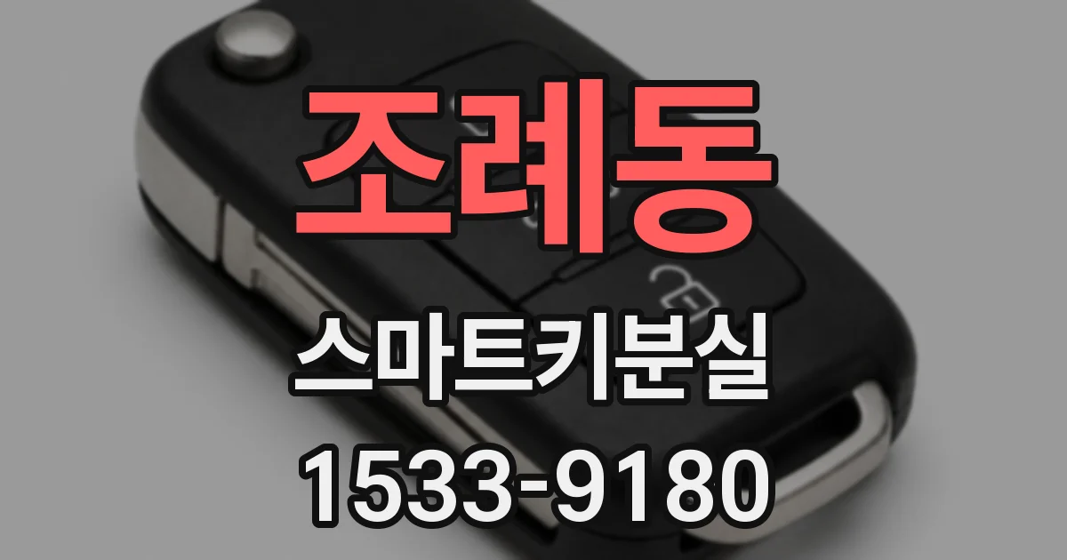 조례동 스마트키분실