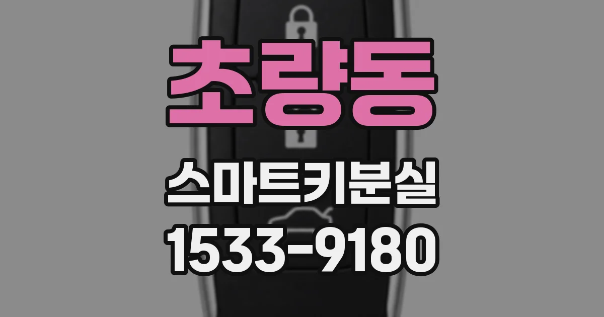 초량동 스마트키분실