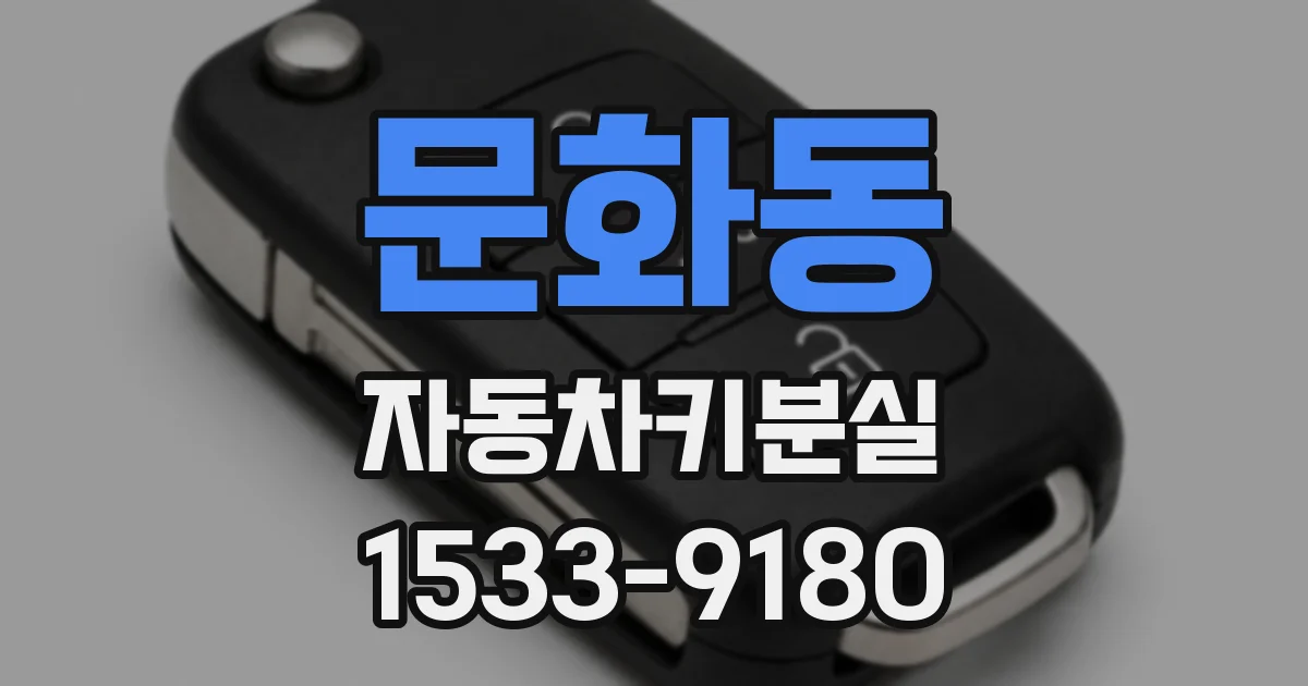 문화동 자동차키분실