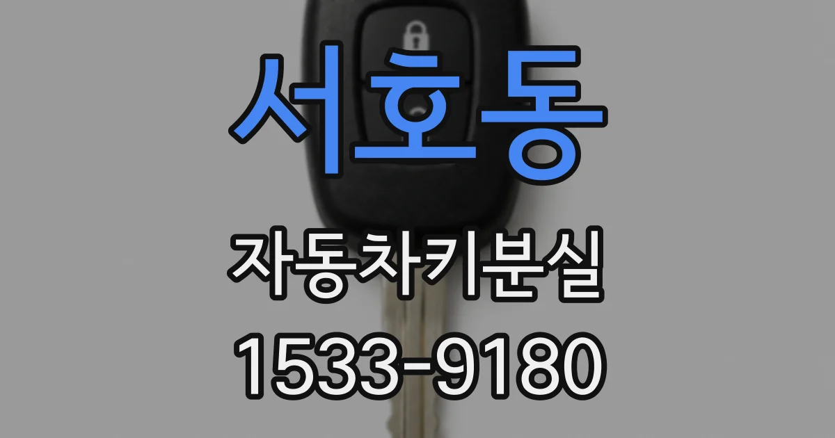 서호동 자동차키분실