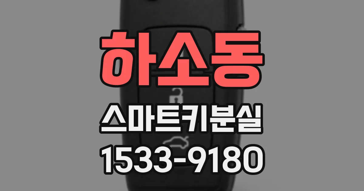 하소동 스마트키분실